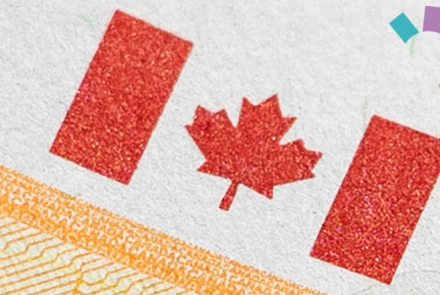Government Services Drop-in Clinic