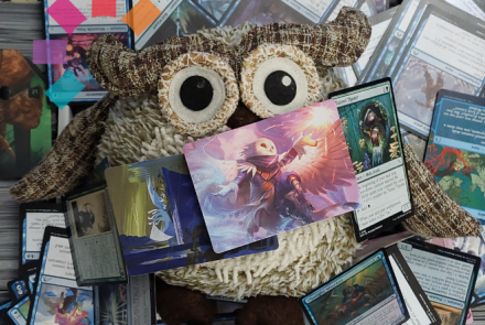 Magic the Gathering Build and Play