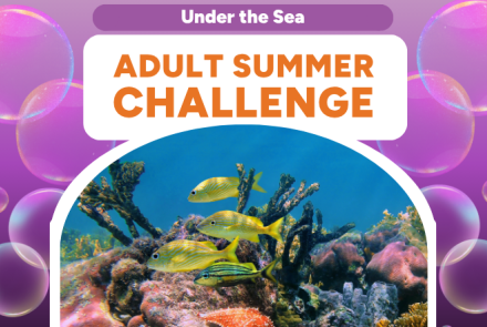 Adult Summer Challenge