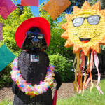 Star Wars Summer!
